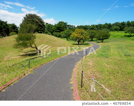 Hitachi Seaside Park 40769854