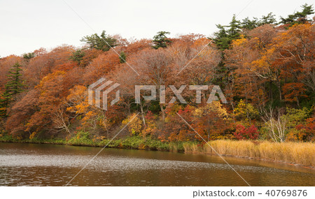 Onuma pond in beautiful autumn season. Onuma pond in beautiful autumn season. 40769876