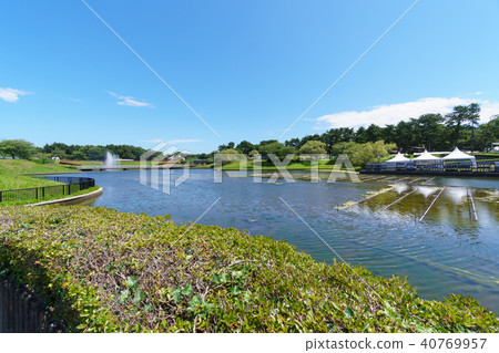Hitachi Seaside Park 40769957