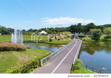 Hitachi Seaside Park 40769958
