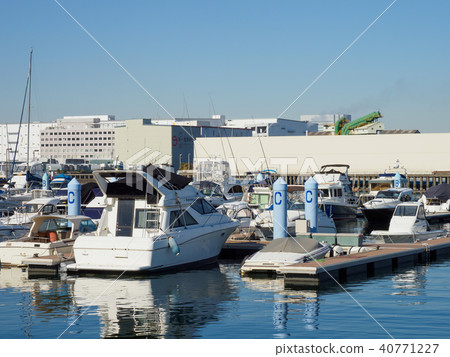 Dream Island Marina Dream Island Marina 40771227