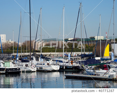 夢島碼頭 夢島碼頭 40771287