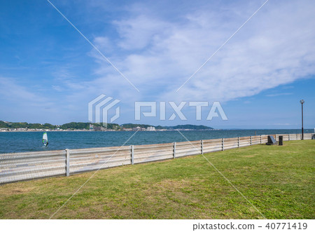 鎌倉海欣公園的風景 鎌倉海欣公園的風景 40771419