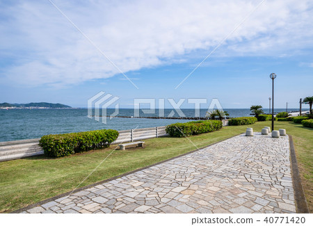 鎌倉海欣公園的風景 鎌倉海欣公園的風景 40771420