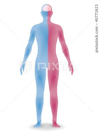 Three-dimensional silhouette of human body Three-dimensional silhouette of human body 40771623
