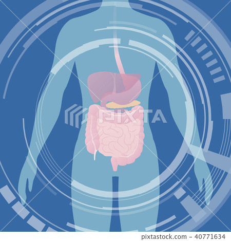 Human Silhouette and Organ Medical Interface 40771634