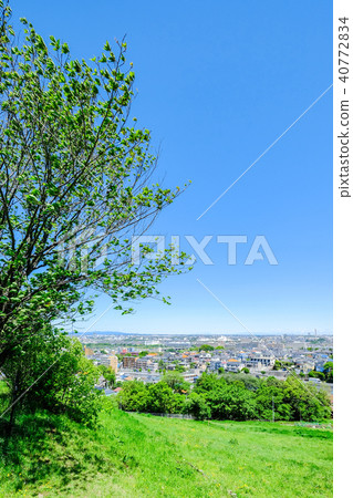 Cityscape 40772834