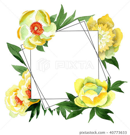 Yellow Peony. Floral botanical flower. Frame border ornament square. 40773633