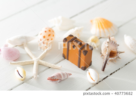 Seashell 40773682