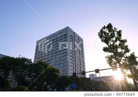 Tokyo cityscape in Japan Looking over the city streets of Kasumigaseki etc. 40773684