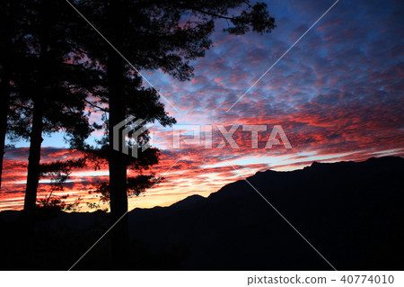 Alishan's sunrise on sunlight Taiwan Dramatic sunrise of Alishan Taiwan 40774010