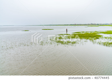 台灣台中高美濕地 台灣台中高美濕地 40774445