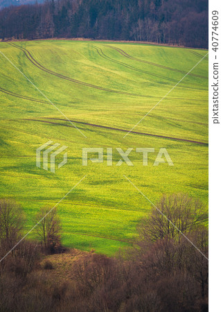 Aerial view of an empty field Aerial view of an empty field 40774609