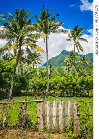 Sumbava island landscape 40774870