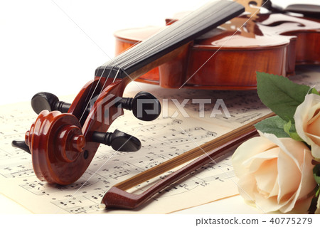  Violin 40775279