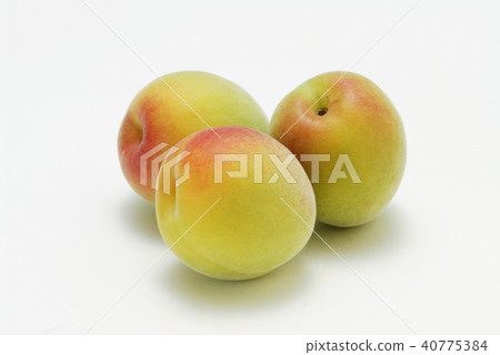 Plum 40775384