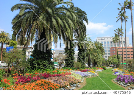 Scenery around Miyazaki City Hall 40775846