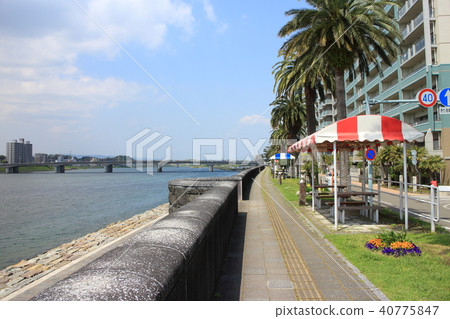 Miyazaki Tachibana Park 40775847