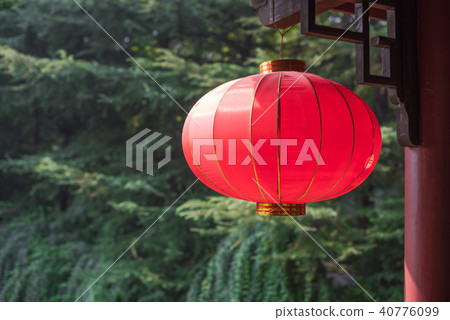 Red chinese lantern hanging with trees Red chinese lantern hanging with trees 40776099
