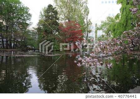 北海道廳舊本廳舍的湖邊景色 40776441