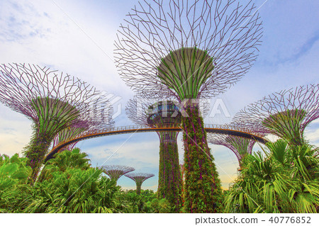 Gardens by the Bay 40776852