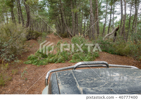 Big 4x4 car with tree trunk in the track 40777400