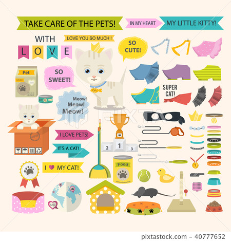 Cat and different pet care accessories for cats. 40777652