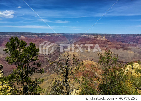 Scenic view in Grand Canyon national park, Arizona 40778255