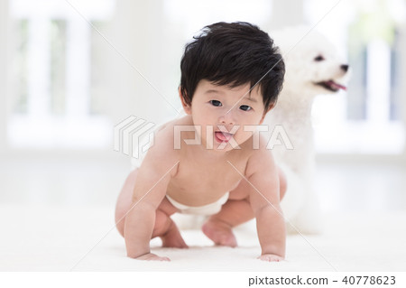 嬰兒爬行 40778623