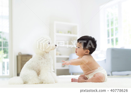 嬰孩和白色玩具獅子狗 40778626