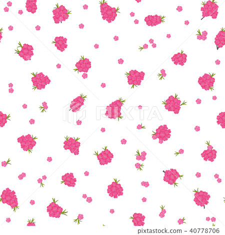 A peach tree branch in bloom. Spring motif. 40778706