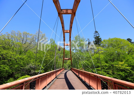 Chidori Bridge · Takinogei Park 40782013