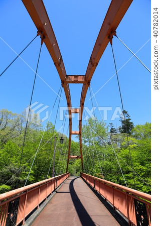 Chidori Bridge · Takinogei Park 40782014