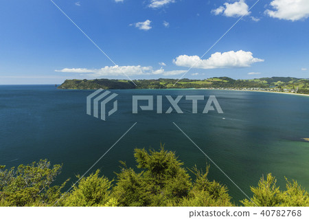 新西蘭科羅曼德半島孤獨灣從莎士比亞懸崖 40782768