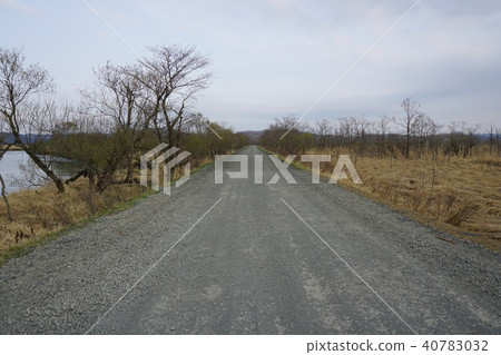 Road crossing the Kushiro marshland 40783032