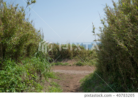 我從城堡島草叢中看海 我從城堡島草叢中看海 40783205