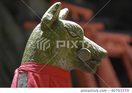 伏見稻荷 伏見稻荷 40783259