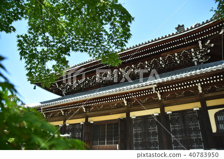 初夏寺 初夏寺 40783950
