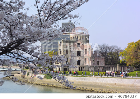 Sakura and A-Bomb Dome Sakura and A-Bomb Dome 40784337