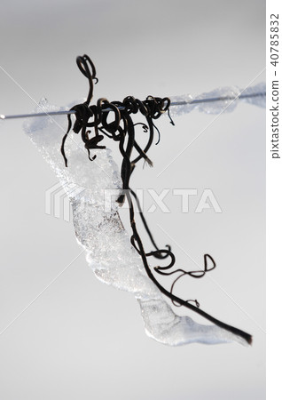 Snow covered vineyards 40785832