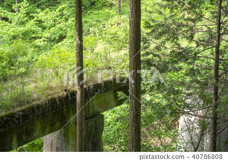 Fresh green Okutama prefecture road Road cargo line Concrete bridge Fresh green Okutama prefecture road Road cargo line Concrete bridge 40786808