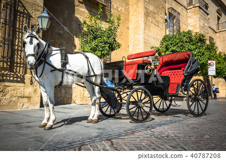 Traditional Horse and Cart at Cordoba Spain 40787208