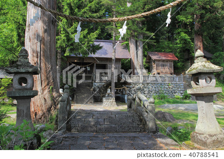 Kirikoku Kuri Kubo Suwa Shrine Hakuba Village Kuri Kubo 40788541