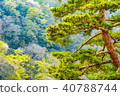 Spring landscape of Kyoto Matsu Kyoto Arashiyama Japan 40788744