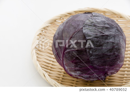 Purple cabbage Purple cabbage 40789032