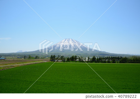 Yotei Kutchan山 Yotei Kutchan山 40789222
