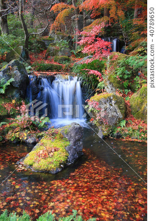 Autumn festival (Fukushima Prefecture · Shirakawa City) 40789650