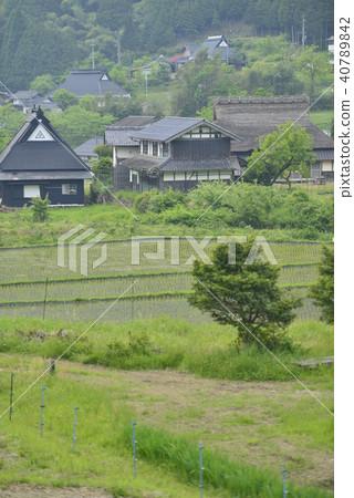 [京都府福知山市]茂原市的水稻梯田和農村居民點風光 40789842