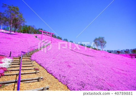 Hisashimo和Shibaura Park Hisashimo和Shibaura Park 40789881