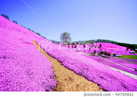 Hisashimo and Shibaura Park 40789882